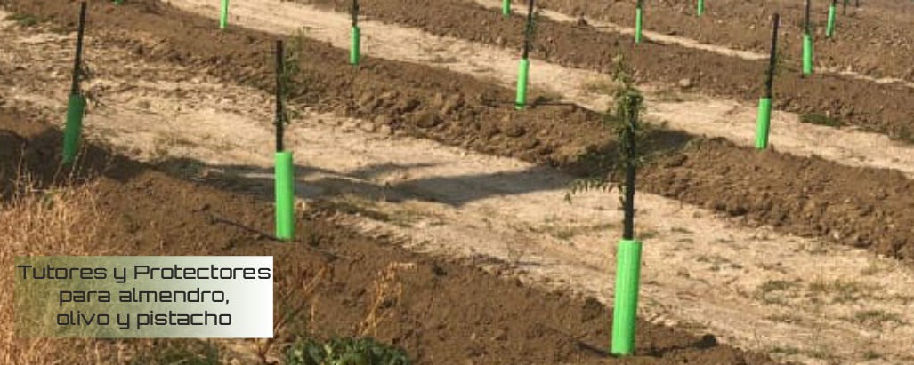 protectores-tutores-almendro-olivo-pistacho-filtec