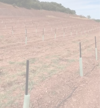 Tutores-para-plantas-Comparativa