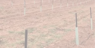 Tutores-para-plantas-Comparativa