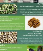 uso-tutores-protectores-filtec-plantaciones