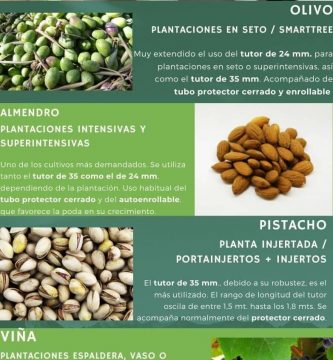 uso-tutores-protectores-filtec-plantaciones