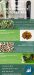 uso-tutores-protectores-filtec-plantaciones